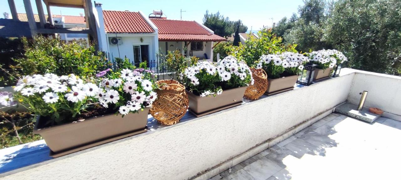 Villa Βianca In Sithonia 게라크니 외부 사진